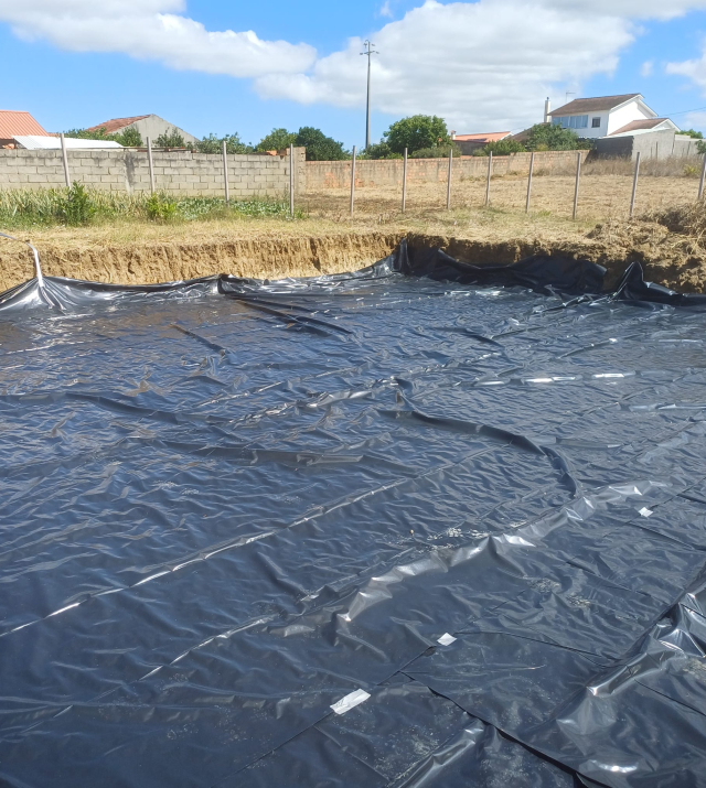 Imagem WhatsApp 2025-11-18 as 15.14.05_9f82df74.jpg